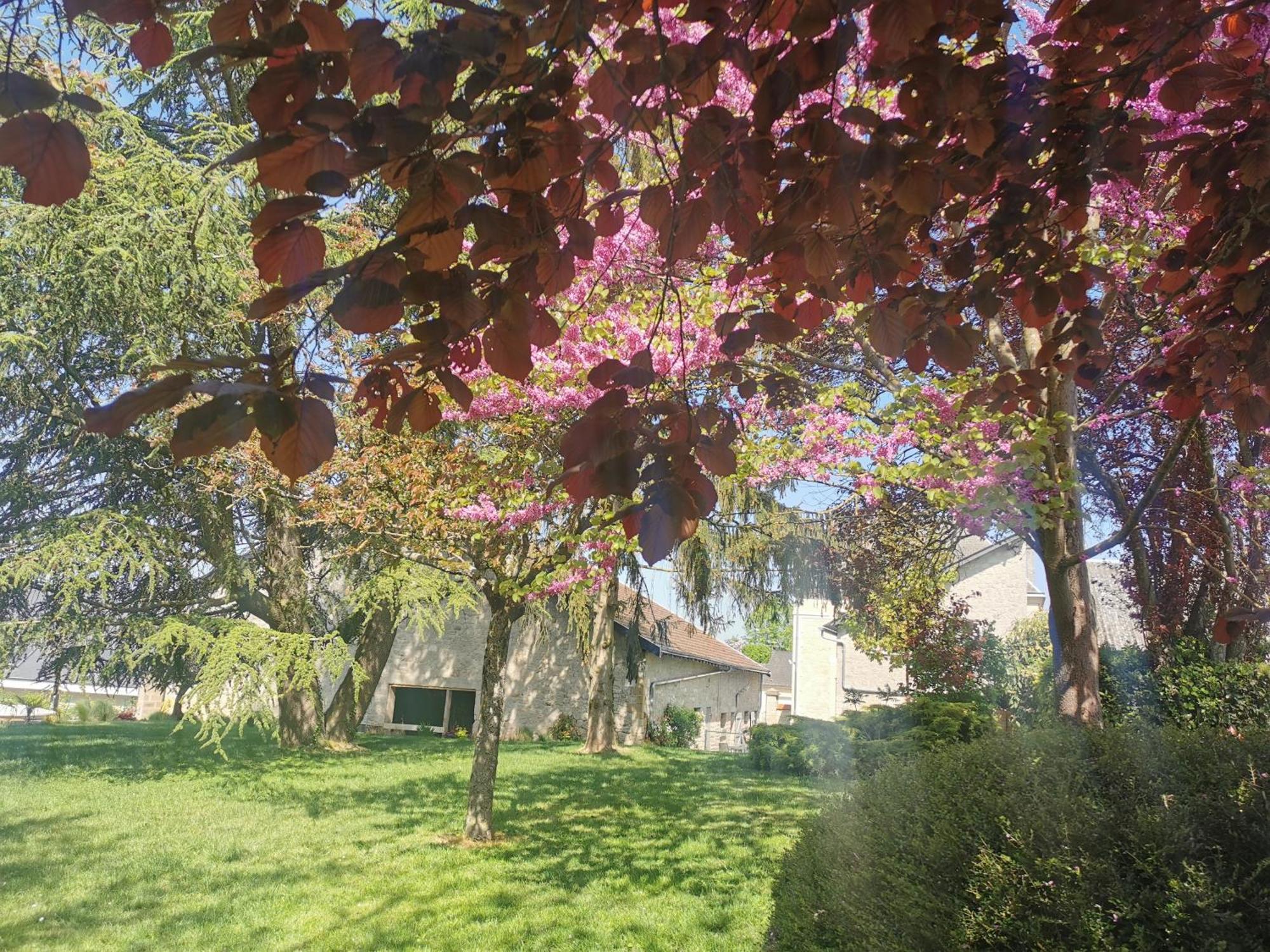 Vila Hedoniste 1 Herpy-l'Arlesienne Exteriér fotografie